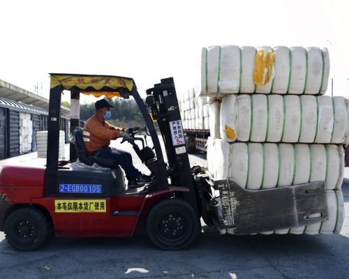 新疆棉花被指涉及強迫勞動。AP圖片