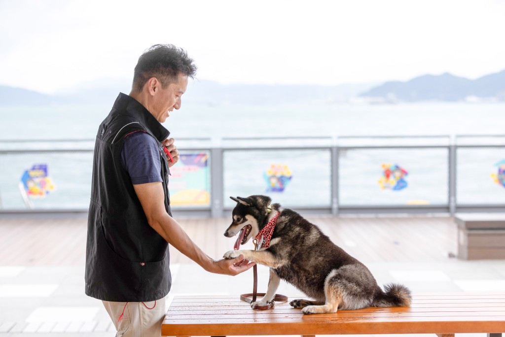 海滨好去处｜训犬师解读狗狗　「海滨共享空间」是宠物友善场地，鼓励市民与宠物一同享受共融的海滨活动体验。