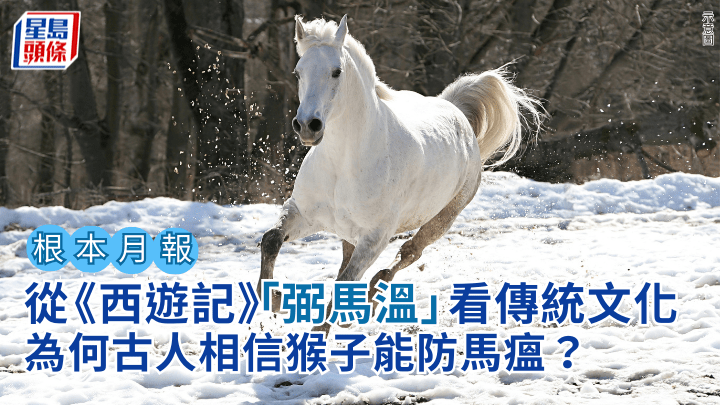 馬年2026｜從《西遊記》「弼馬溫」看傳統文化 為何古人相信猴子能防馬瘟？｜根本月報