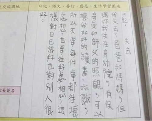 孤儿小学生70字日记透心声。网上图片