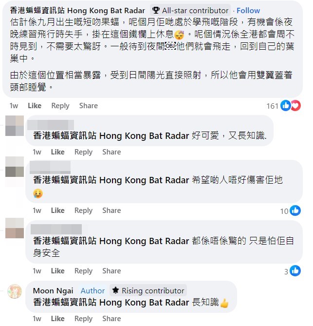 網民主動向「香港蝙蝠資訊站」求教。fb「香港自然生態論壇」截圖