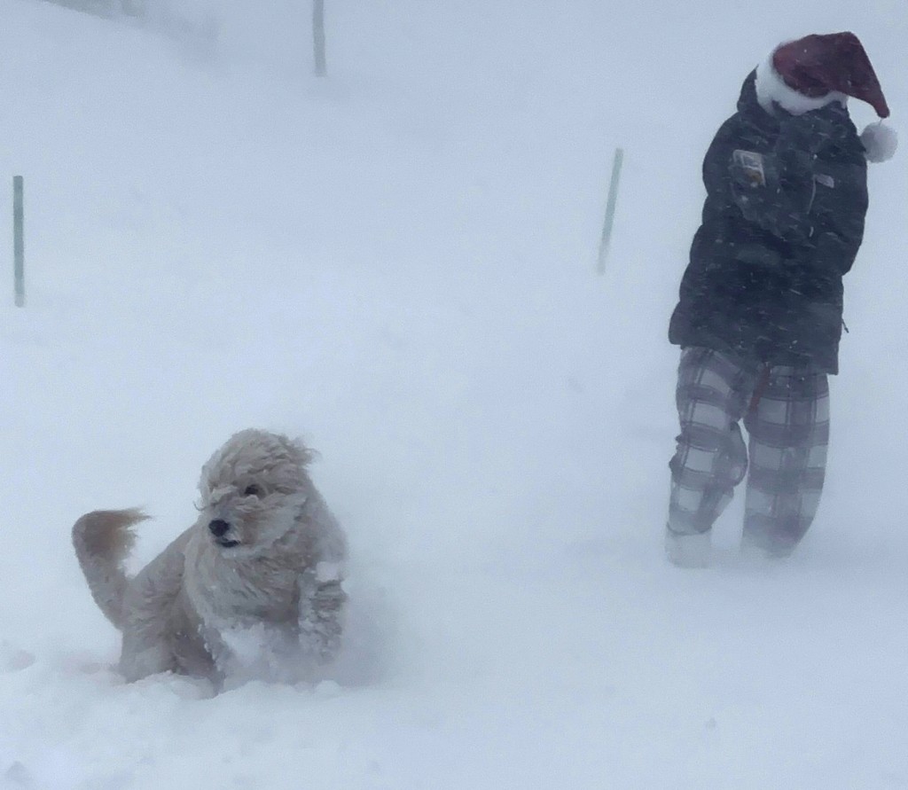 美国在暴风雪中过圣诞。路透社