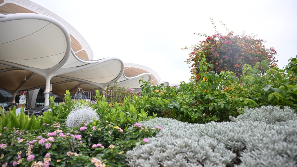 廣州白雲國際機場T3航站樓和第五跑道正式投運。 新華社 廣州白雲國際機場T3航站樓和第五跑道正式投運。 新華社