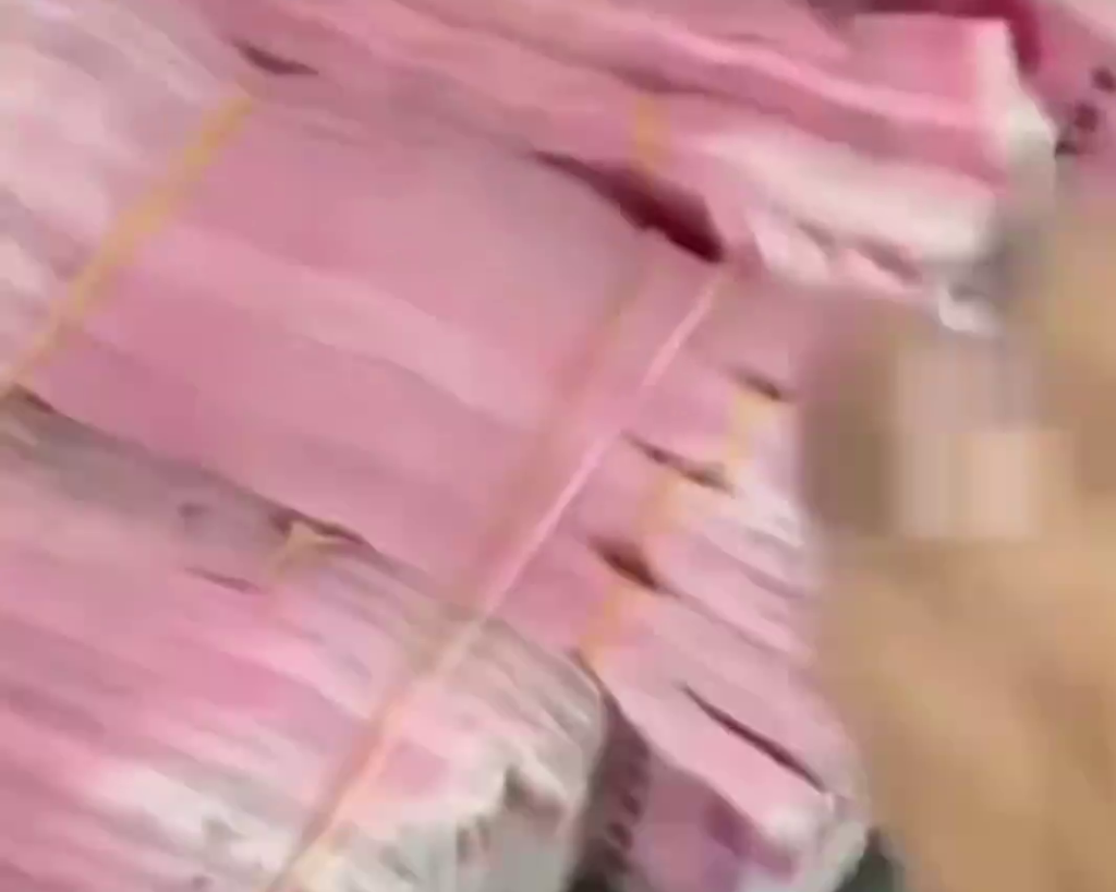 網片顯示,男子河道撿走的是大疊大疊的鈔票。 網片顯示,男子河道撿走的是大疊大疊的鈔票。