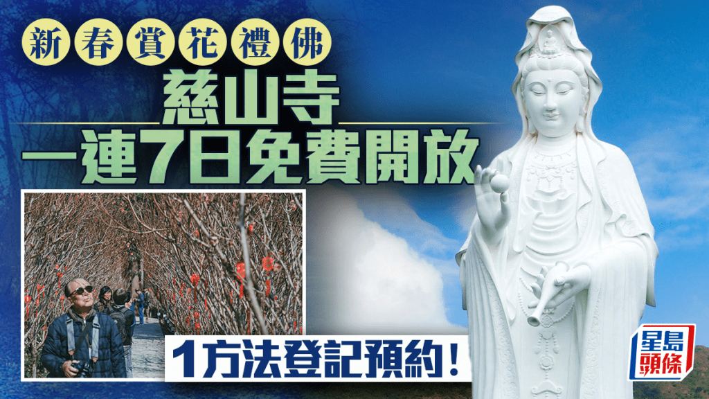 大埔慈山寺一連7日免費開放！農曆年「丙午年新春花供禮佛」 1方法登記預約