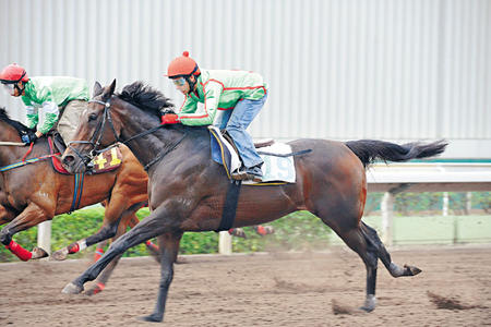 「重量級」老馬復甦