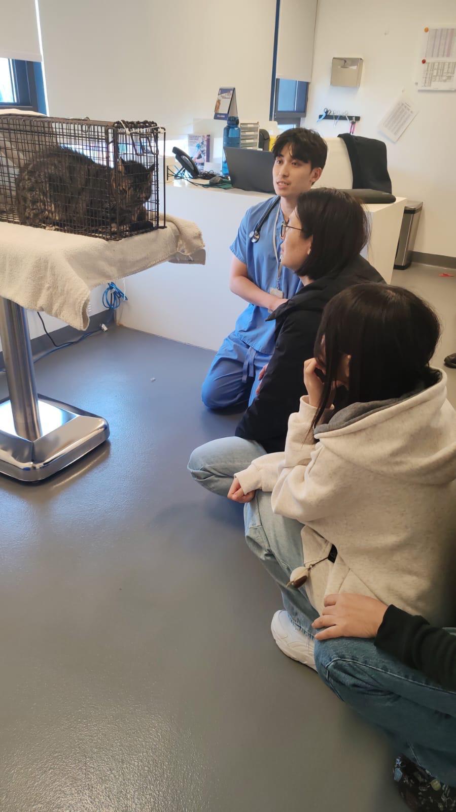 主人收到消息後，立即趕到愛護動物協會，預備接牠回家。愛護動物協會提供