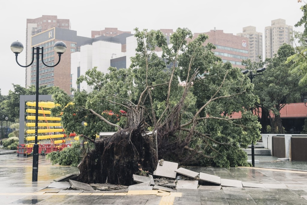 她引述陳國基續稱，早前超強颱風「樺加沙」為香港帶來嚴重威脅，特區政府嚴陣以待，事前做好充分準備。