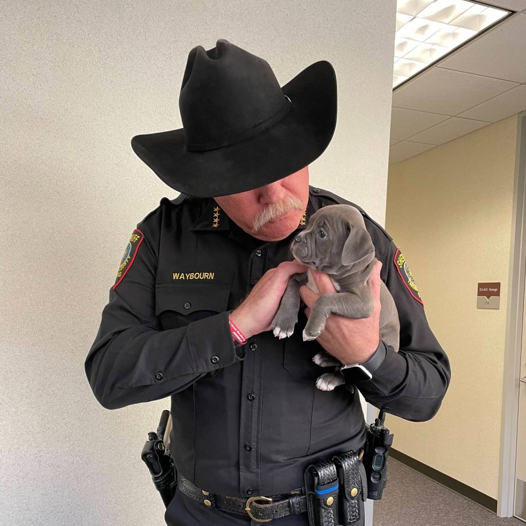 警局不乏爱狗人士。（FB@Tarrant County Sheriff's Office）