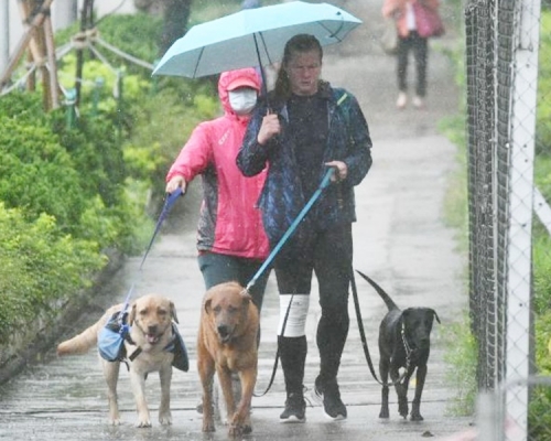 天文台指未來一兩小時廣泛地區可能受大雨影響。