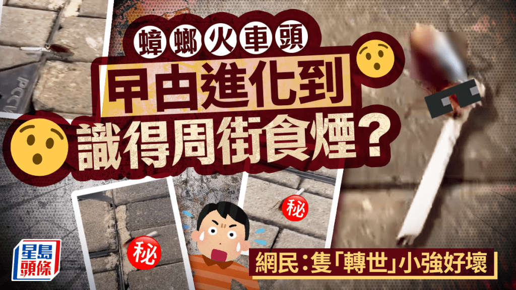 曱甴進化到識得周街食煙? 蟑螂火車頭 網民:隻「轉世」小強好壞