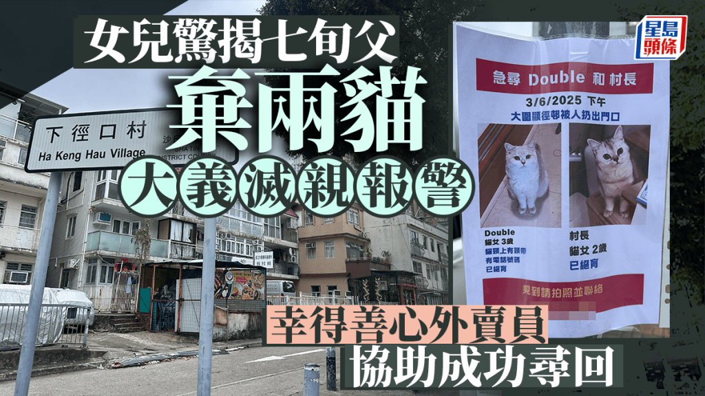 隆亨邨棄貓案│七旬翁因鼻敏感「打包」兩貓扔掉 女兒接外賣員通知成功尋回