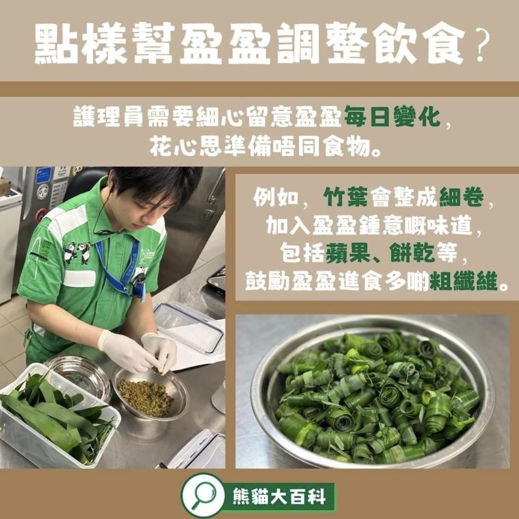 而护理员需细心留意盈盈每日变化，花心思准备不同食物。海洋公园FB图片