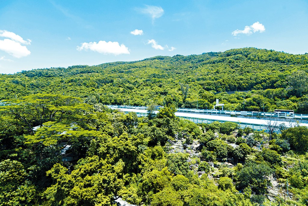 遠東發展荃灣油柑頭綠化地，拋新方案修訂地盤發展範圍，最新申請興建613伙。