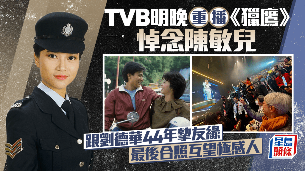 陈敏儿离世｜TVB明晚重播《猎鹰》悼念  跟刘德华44年挚友缘  最后合照互望极感人
