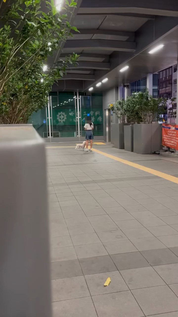 一名白衣女子在旺角道行人天橋上幫狗狗整理狗帶。網上片段截圖