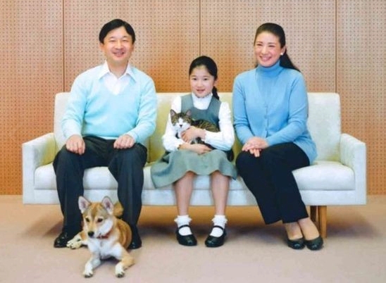 充滿愛心的愛子,收養多隻流浪貓狗。