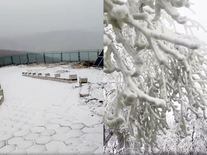 河北地區大雪紛飛白茫茫一片。網上截圖