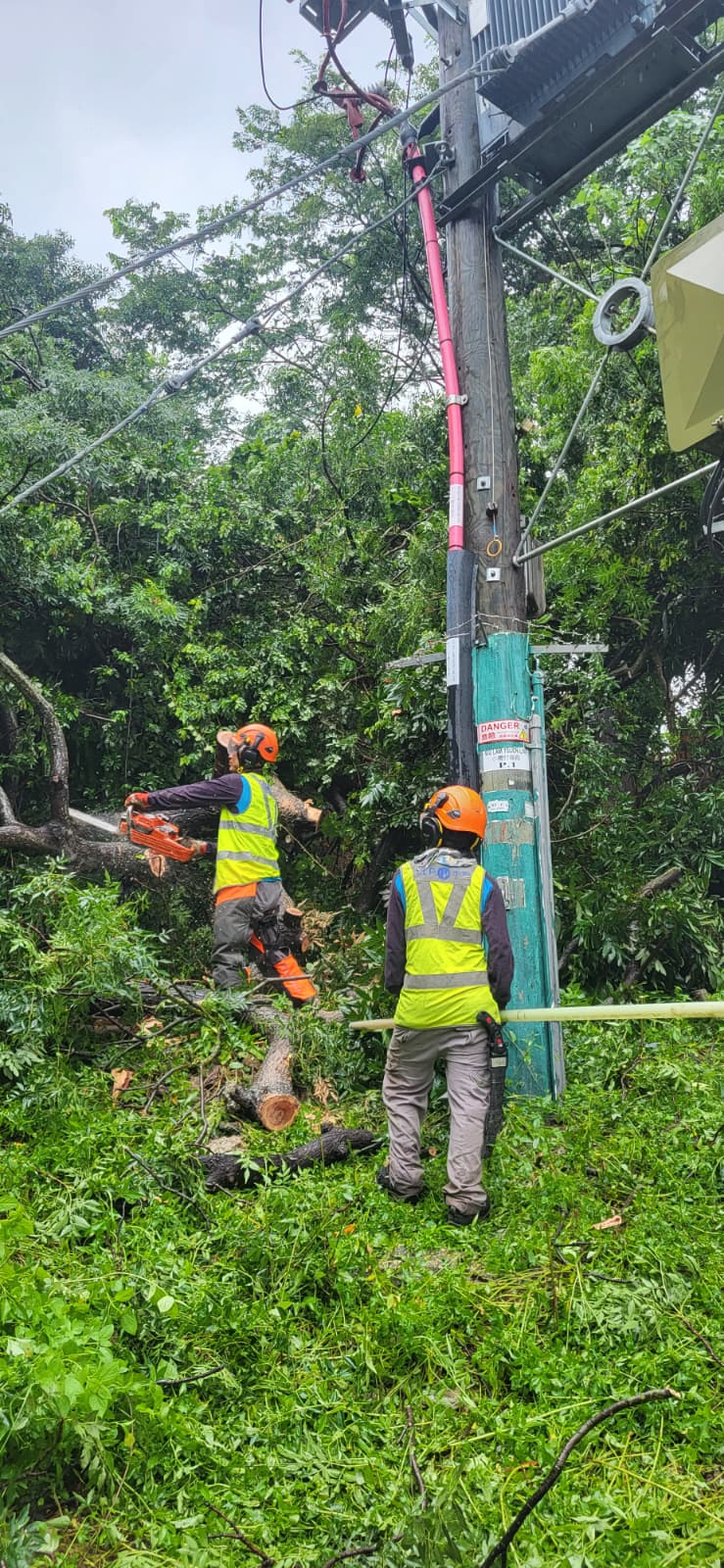 部分架空電纜及電力設備受強風及塌樹影響，導致部分新界地區客戶的電力供應受到影響。中電提供