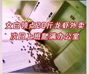 20斤的小龍蝦從盒中逃出爬滿一地。網圖