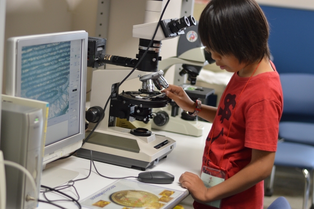 （圖片來源：PhotoAC）