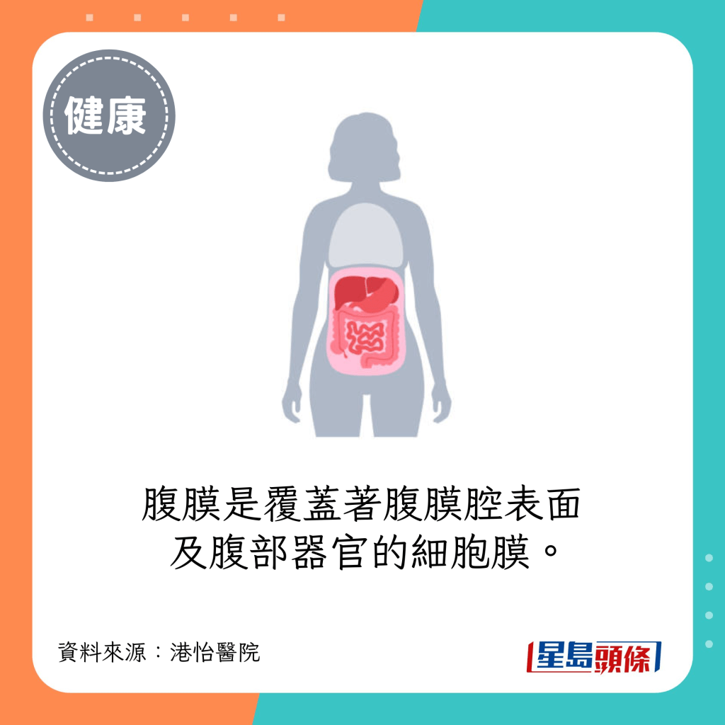 腹膜是覆蓋著腹膜腔表面及腹部器官的細胞膜。