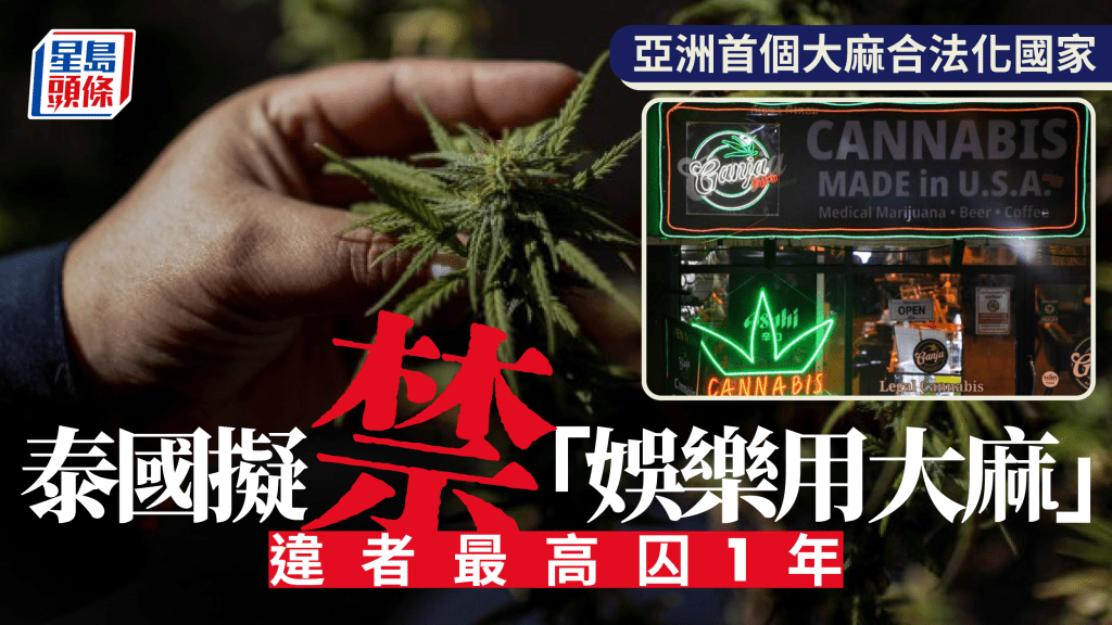 泰國擬禁娛樂用大麻　違者最高囚1年