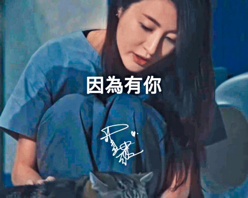 薇薇好入戲,自製MV「悼念」劇中愛貓。
