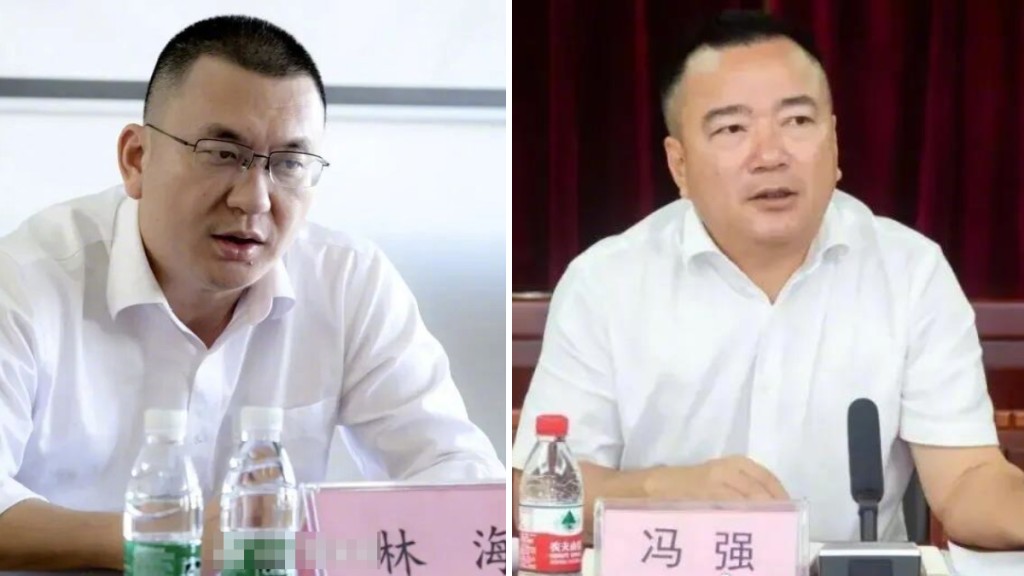海南三亞市瑞祥和豐實業公司原副總經理林海（左），崖州區原區長馮強（右）。