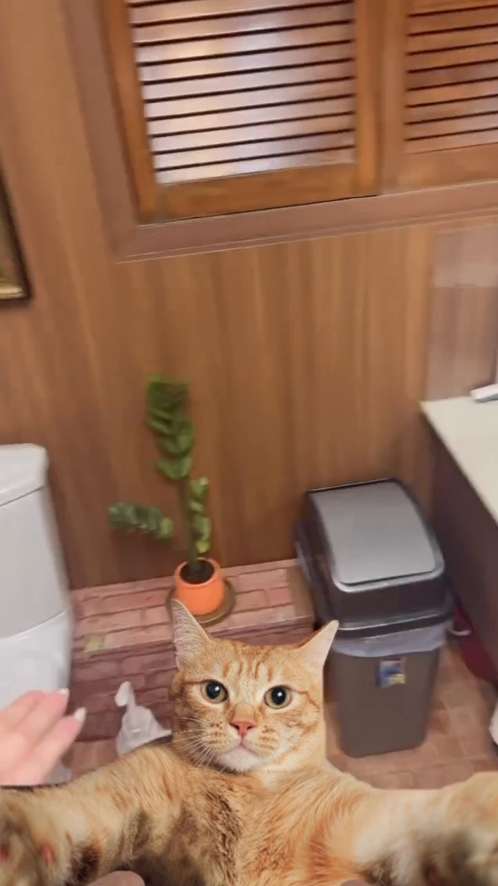 片中的廁所相當整潔,以木色作主調,點綴著不同的植物與畫作,還有藤籃,帶點骨子書房的感覺。Threads截圖 片中的廁所相當整潔,以木色作主調,點綴著不同的植物與畫作,還有藤籃,帶點骨子書房的感覺。Threads截圖