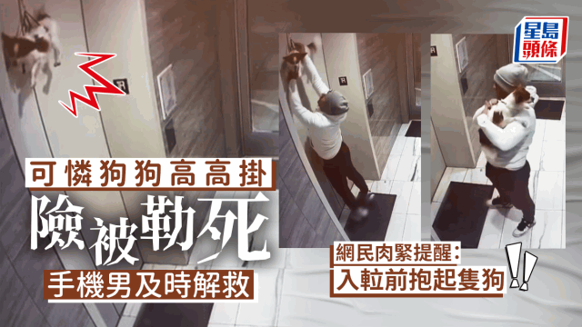 牽繩卡電梯狗狗吊掛門外險死，手機男拯救因一舉動網民激讚。