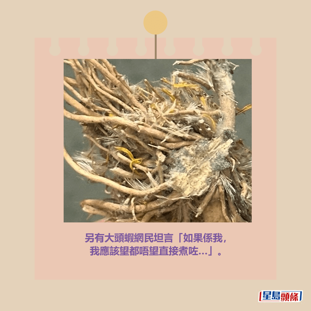 另有大頭蝦網民坦言「如果係我, 我應該望都唔望直接煮咗…」。Threads截圖 另有大頭蝦網民坦言「如果係我, 我應該望都唔望直接煮咗…」。Threads截圖