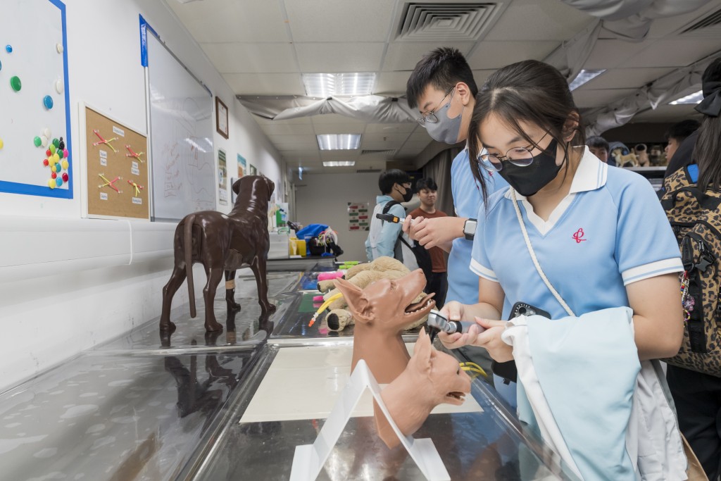 不少學生對城大賽馬會動物醫學及生命科學院的實驗室展示的模型感到新奇有趣。