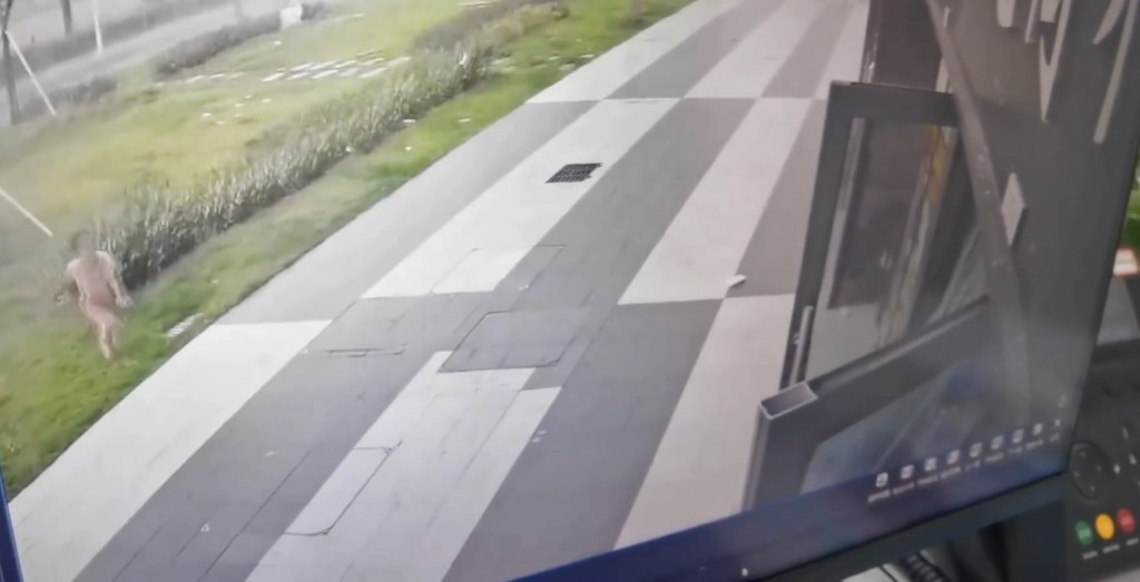 颱風紅霞吹襲廣東,閉路電視拍下女孩被強風吹出戶外的驚險情景。微博@我宇太陽肩並肩 颱風紅霞吹襲廣東,閉路電視拍下女孩被強風吹出戶外的驚險情景。微博@我宇太陽肩並肩