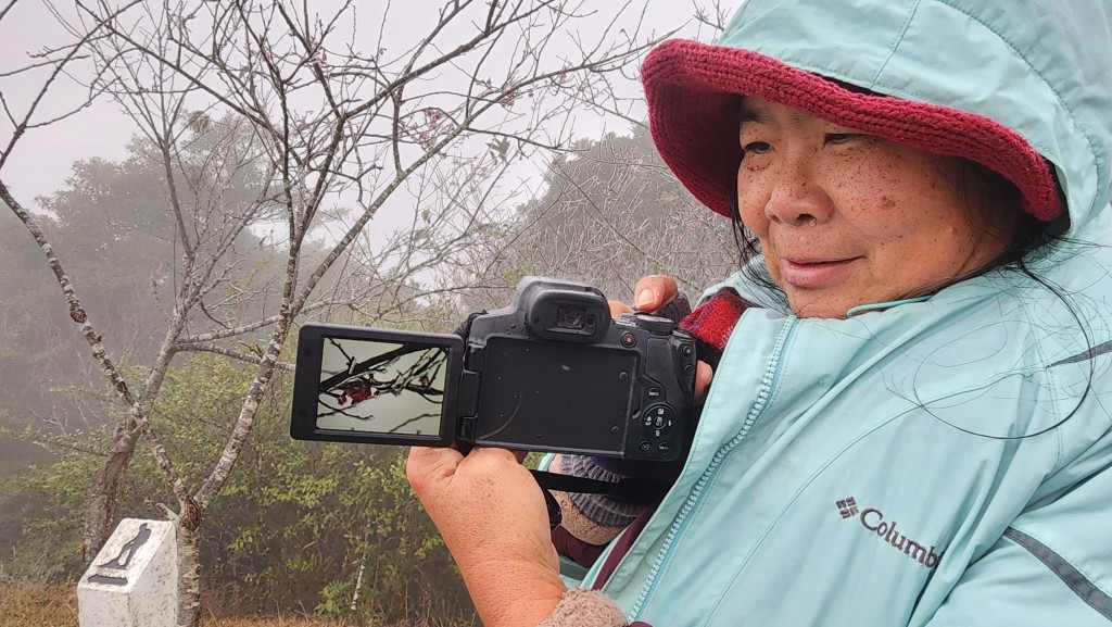 黄太带备相机到大帽山拍摄植物结冰美景。黎志伟摄
