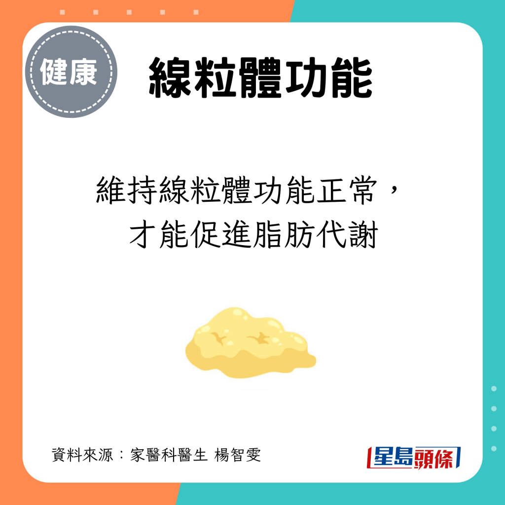 維持線粒體功能正常，才能促進脂肪代謝