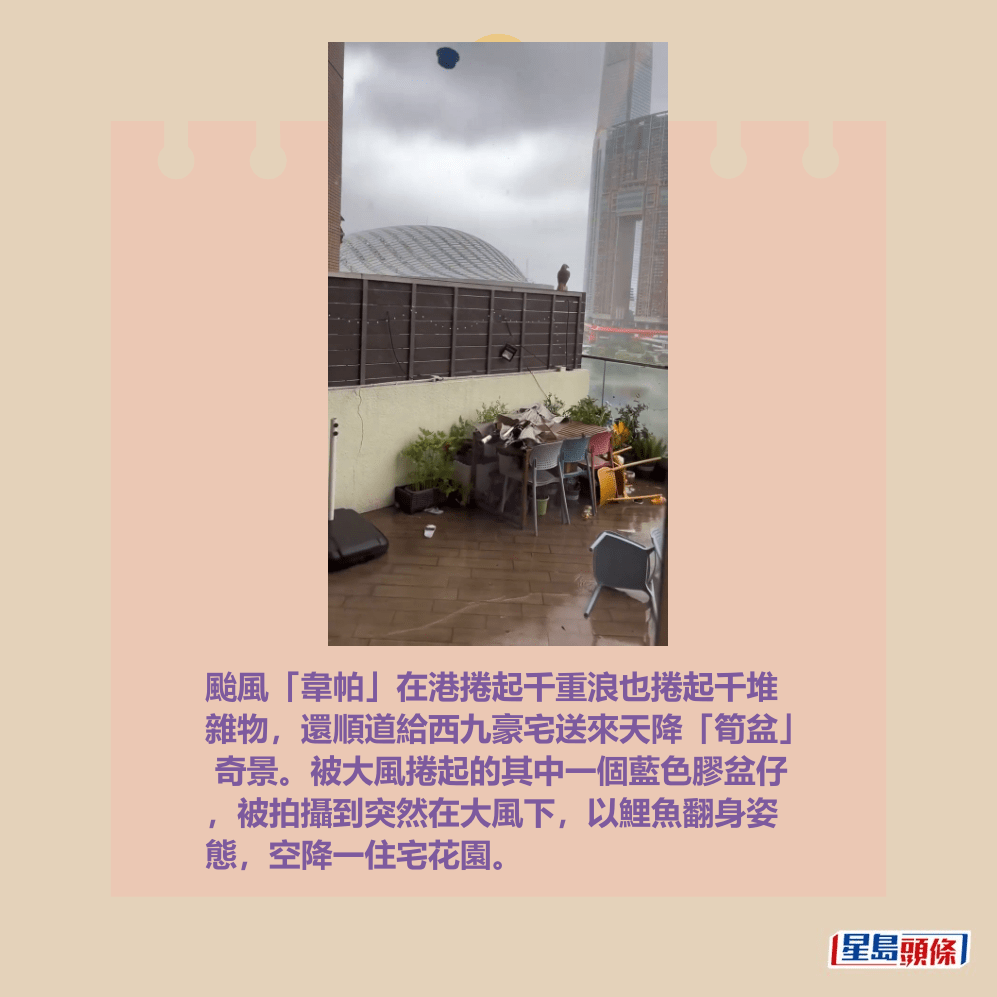 颱風「韋帕」在港捲起千重浪也捲起千堆 雜物，還順道給西九豪宅送來天降「筍盆」  奇景。被大風捲起的其中一個藍色膠盆仔 ，被拍攝到突然在大風下，以鯉魚翻身姿 態，空降一住宅花園。Threads截圖