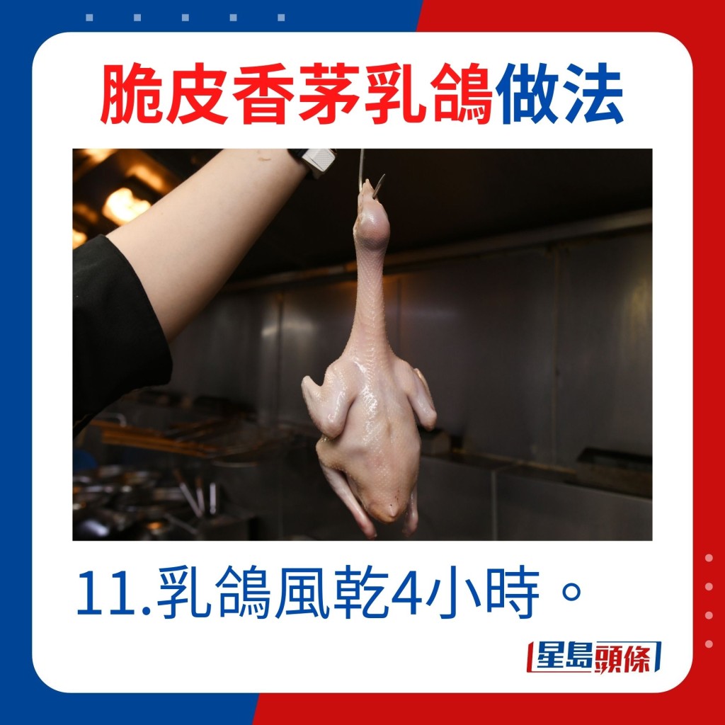 11.乳鸽风乾4小时。