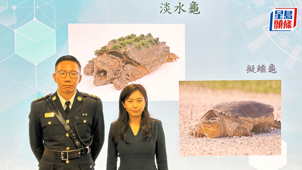 海關首11月緝獲瀕危物種案升三成。蔡楚輝攝
