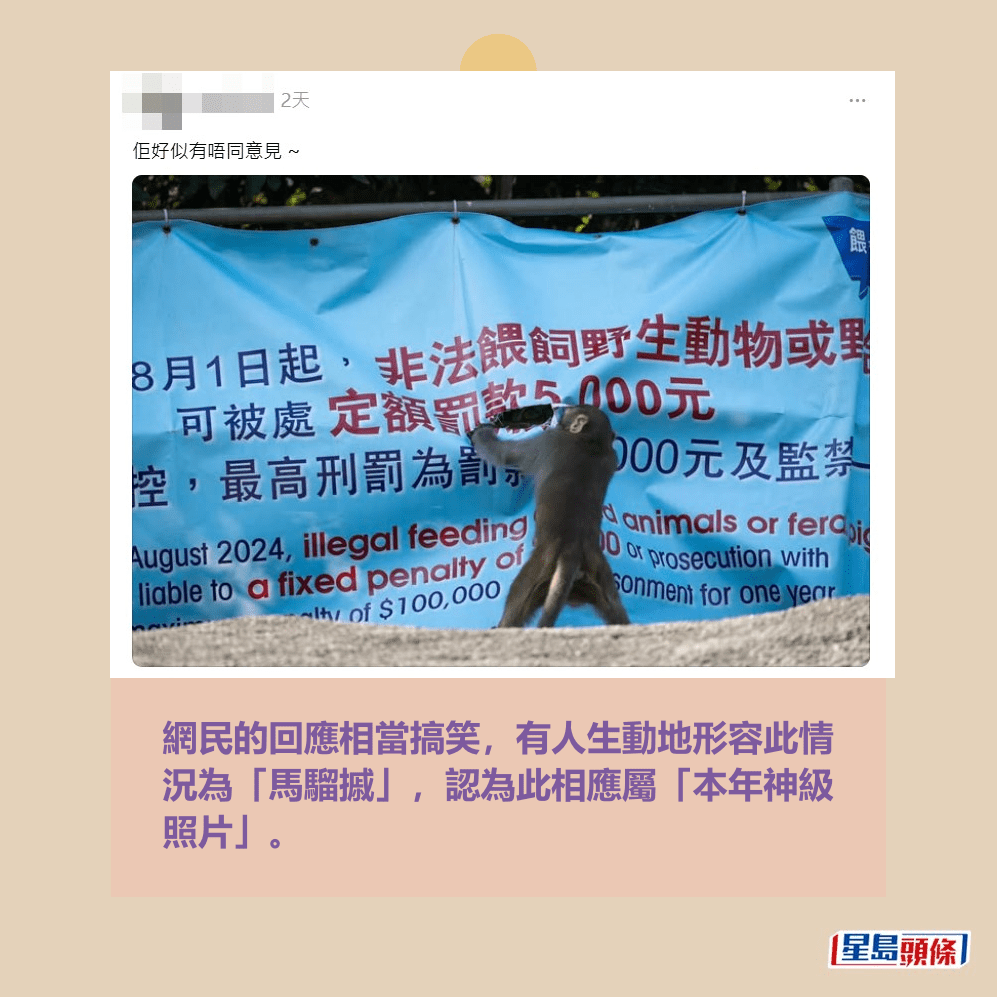 網民的回應相當搞笑,有人生動地形容此情 況為「馬騮摵」,認為此相應屬「本年神級 照片」。Threads截圖 網民的回應相當搞笑,有人生動地形容此情 況為「馬騮摵」,認為此相應屬「本年神級 照片」。Threads截圖