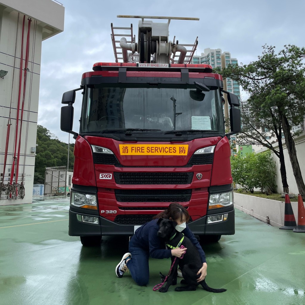 寵物用品店負責人帶同當日被救狗隻到訪鴨脷洲消防局。消防處fb圖片