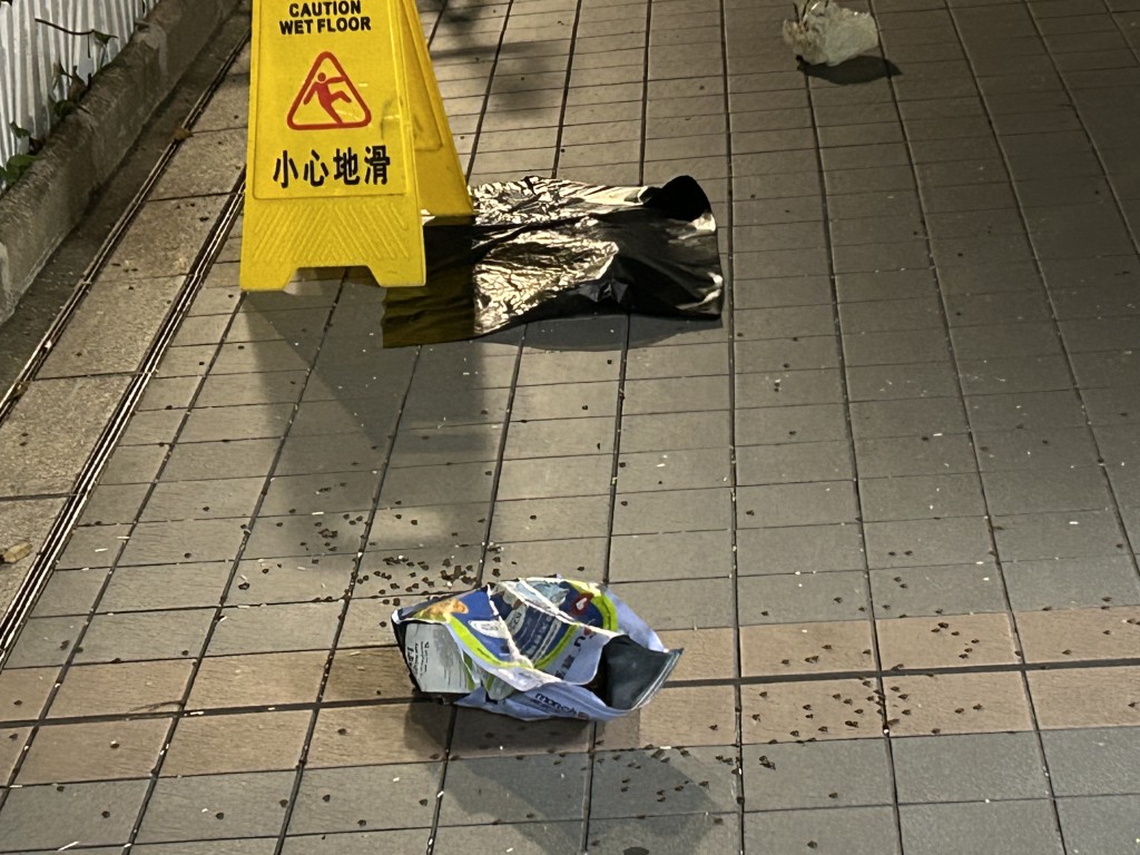 一隻幼貓伏屍行人路，旁邊有一袋已打開的貓糧。