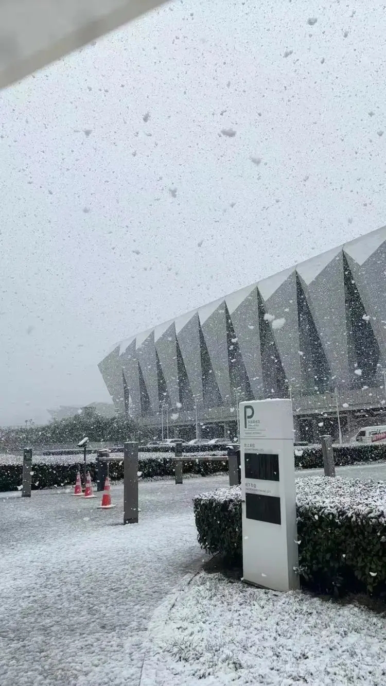 西安突降大雪,24小時內溫差20度,一天穿越冬夏兩季。 微博 西安突降大雪,24小時內溫差20度,一天穿越冬夏兩季。 微博