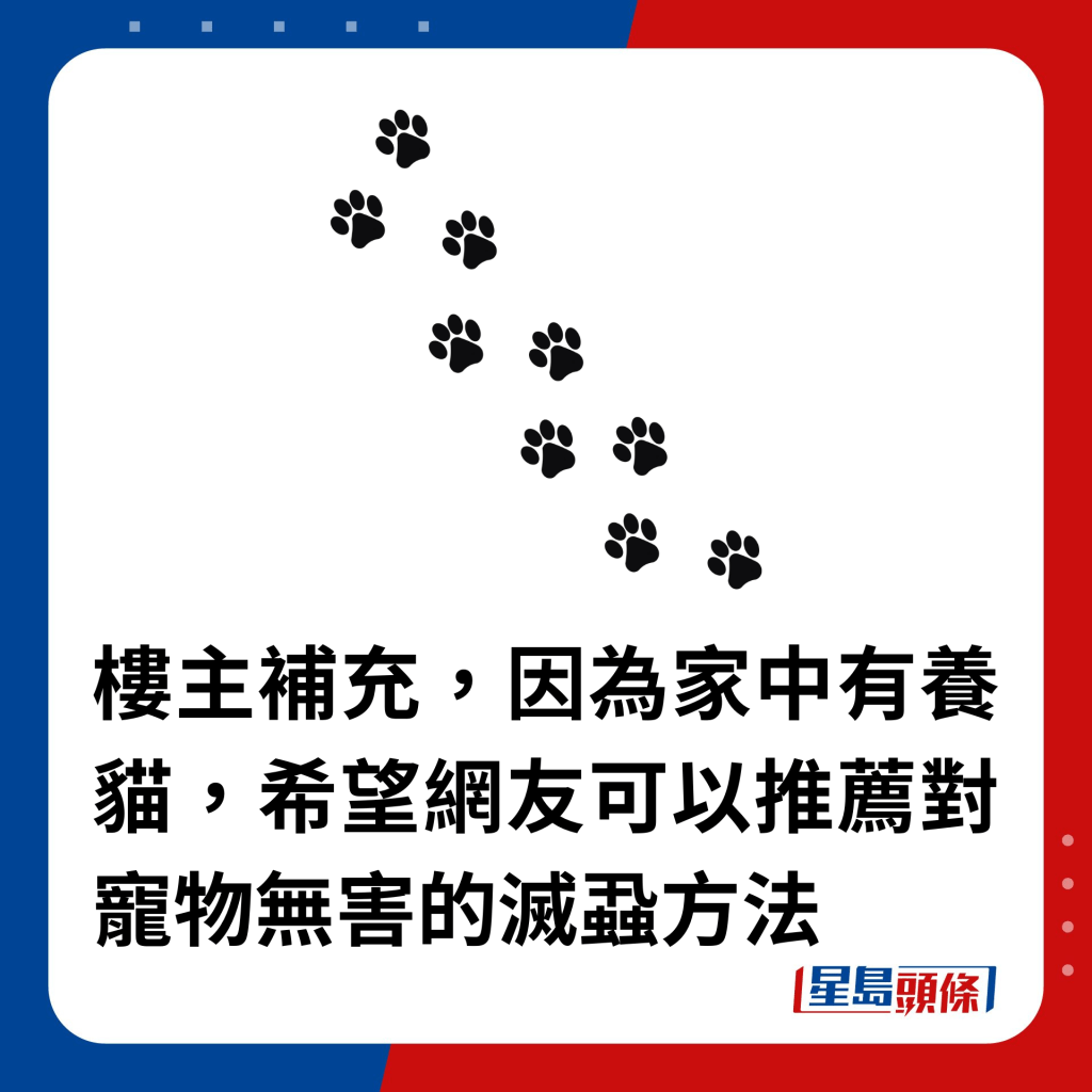 樓主補充，因為家中有養貓，希望網友可以推薦對寵物無害的滅蝨方法