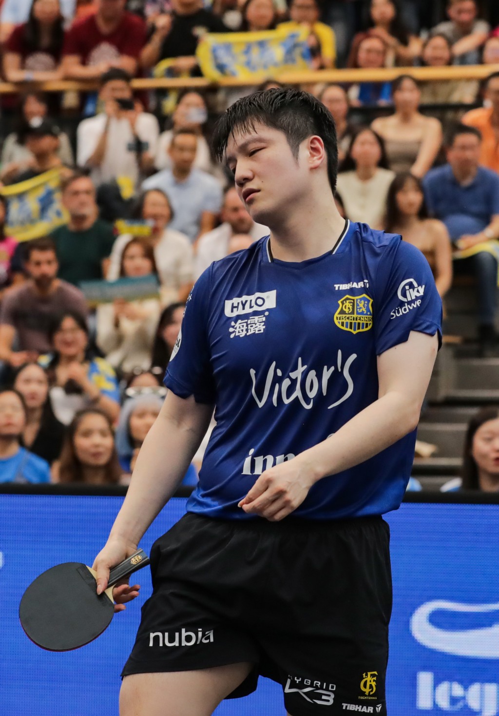 樊振東繼續留洋。新華社