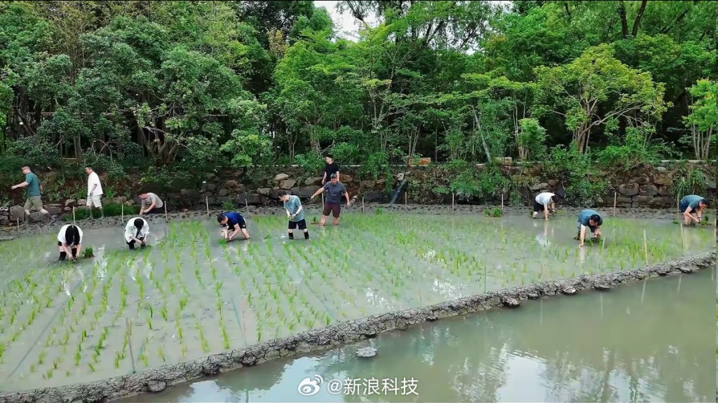 馬雲帶領阿里管理層參與團建活動。 馬雲帶領阿里管理層參與團建活動。