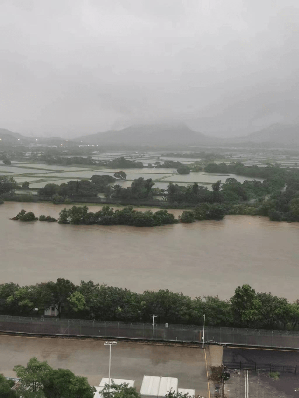 深圳河嚴重氾濫，水已漲滿。