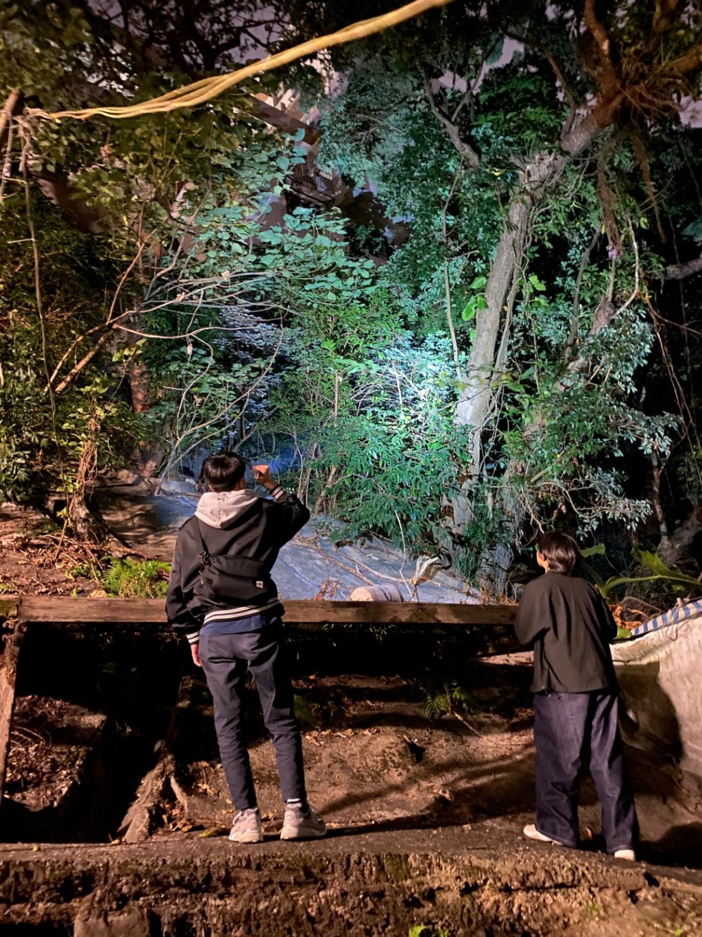 入夜後警員繼續高調巡邏屋苑附近山坡密林。