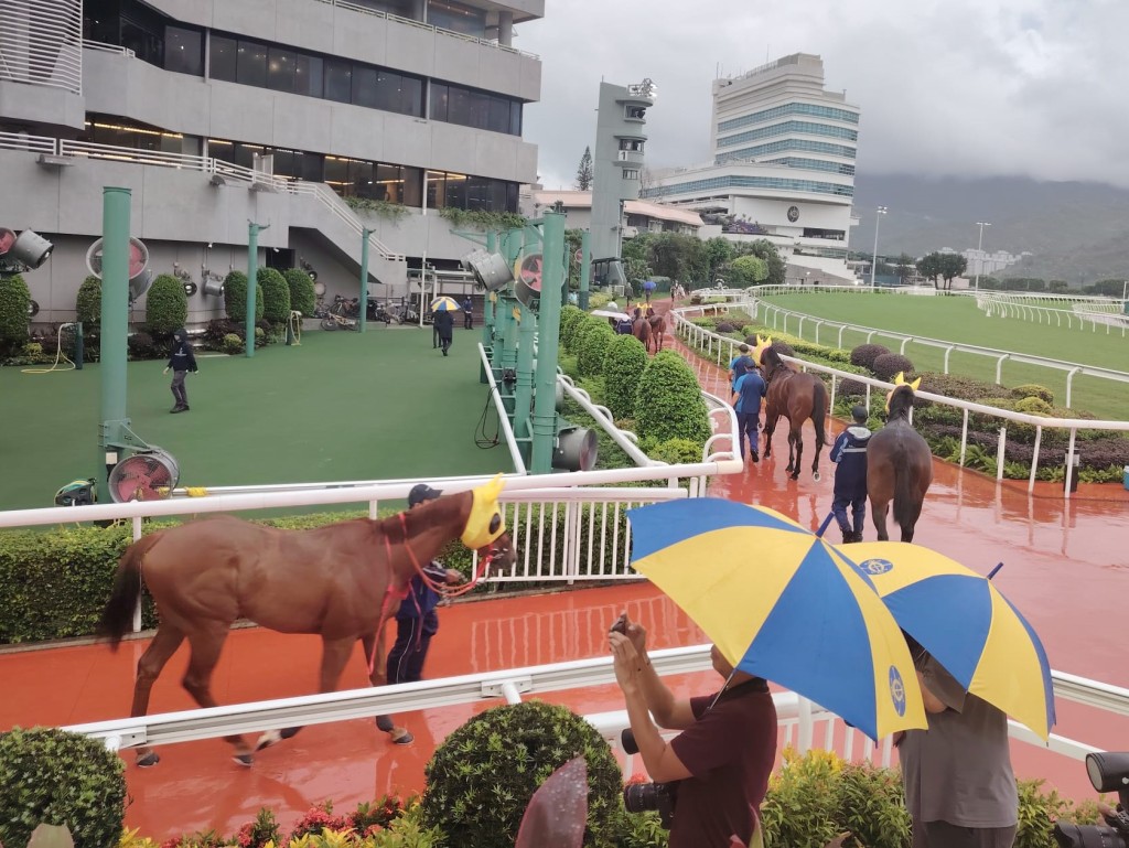 今日沙田馬場的最後兩場賽事取消。 今日沙田馬場的最後兩場賽事取消。