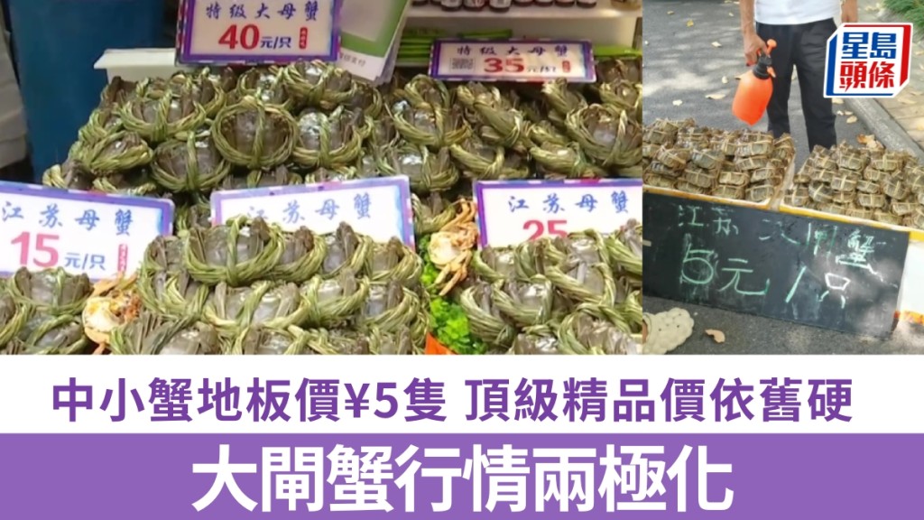大閘蟹全線崩盤？實為兩極化，專家剖析。抖音/示意圖